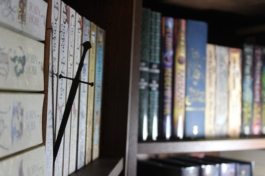 Sword Silhouette Bookshelf Decor