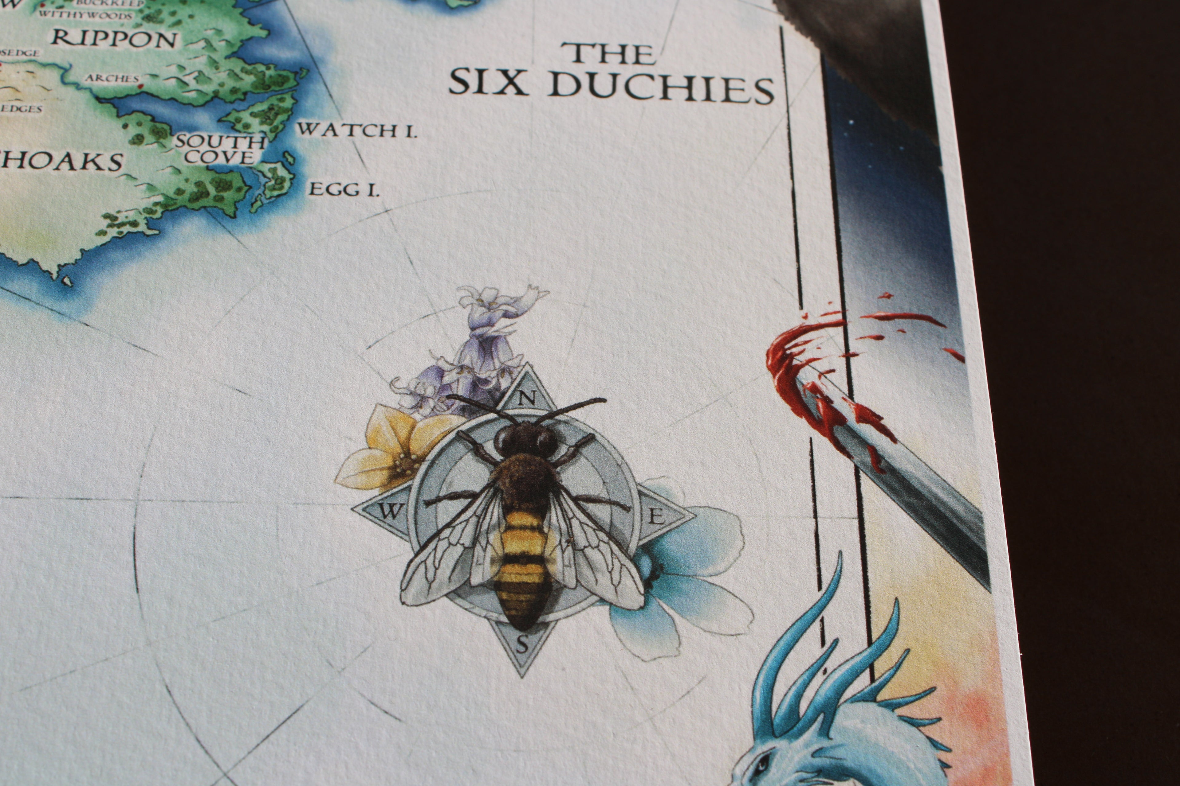 Realm of the Elderlings 11x17" Map